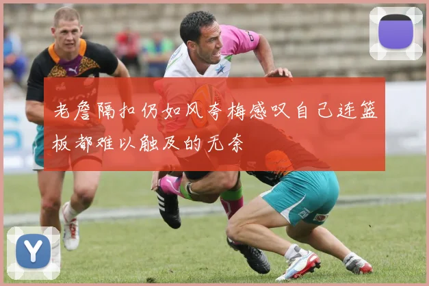 老詹隔扣仍如风夸梅感叹自己连篮板都难以触及的无奈